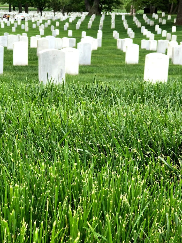 Arlington National Cemetery