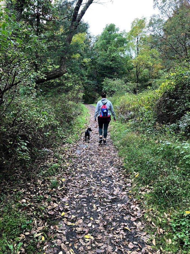 Jess and Lucy_Hiking_Tumbling Waters_Delaware Water Gap