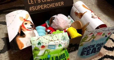 BarkBox Super Chewer Review