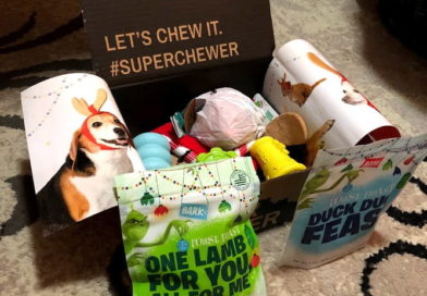 BarkBox Super Chewer Review